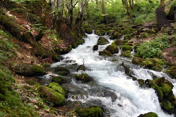 Nehir ve dağ ile manzara.