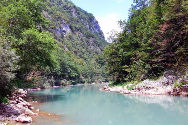 Nehir ve dağ ile manzara.