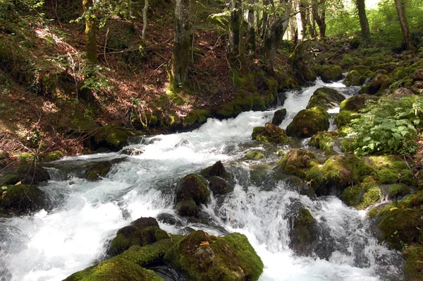 Nehir ve dağ ile manzara.