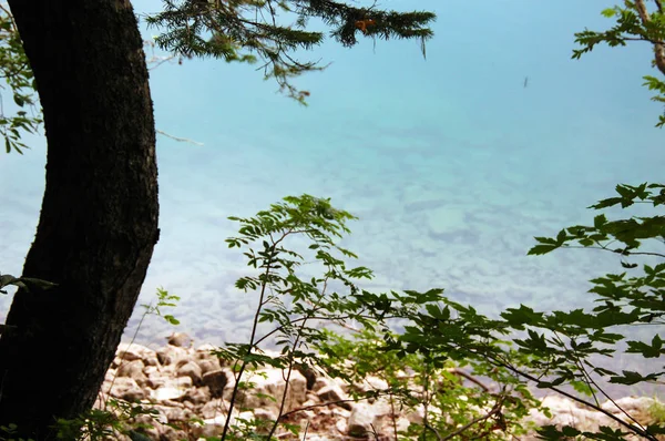 Пейзаж Ледникового Черного Озера Гор Национальном Парке Дурмитор Черногории — стоковое фото