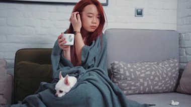 Hasta, güzel Asyalı kız grip olmuş, sıcak çay içiyor ve kanepede battaniyeyle ısınıyor. Şirin bir Chihuahua köpeği. İnsan ve hayvan sağlığı hizmetleri. Evde kal. Coronavirüs.
