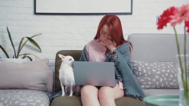 Hasta Çinli genç bir kadın beyaz Chihuahua köpeğiyle kanepede oturur ve dizüstü bilgisayarla çalışır. Serbest çalışmak, evde kalmak. Sağlık hizmetleri. Koronavirüs salgını.