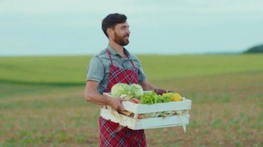 Çekici genç çiftçi elinde organik sebze kutusuyla yürüyor tarım tarlası hasat bahçesi beslenme organik taze portresi yavaş çekimde kapanıyor.