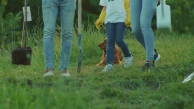 NEW YORK - 5 Nisan 2020: Güneş ışığı altında, ağaç standında birbirine sarılıyor, yeşil bahçeli adam çevre tarımı gezegen ekolojisi takım çalışması yapıyor, yavaş çekim bahçıvanlığı yapıyor.