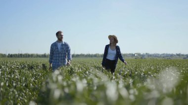 Güzel, genç, beyaz, evli, sıradan elbiseli bir çift tarlada yürüyor. Sıcak hava, güneşli bir gün. Tatillerde. Yaz zamanı. Açık hava, pozitif, iyimser, iyi, model, kadın, harika, fikir