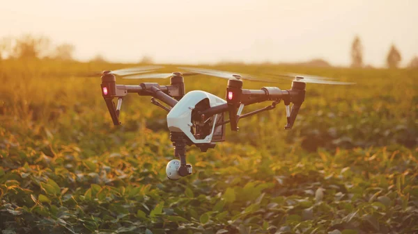 In field smart agriculture drone flying in sky rural aerial helicopter agros copter farm farming industry landscape meadow nature plant professional vehicle harvest innovation slow motion