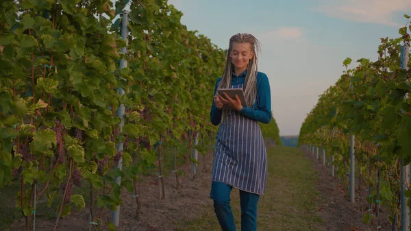 Charming young farmer woman use tablet computer on the vineyard lovely sunny autumn day agriculture farm industry vine controlling agriculture beauty business harvest field hands worker slow motion