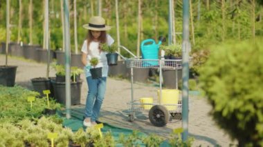 Yapraklara su serpiştiren küçük bir kız çocuğu sera içinde egzotik bir sprey ile bitki yetiştiren aile büyüyen yeşil çiçeğe yavaş çekimde yardım ediyor.