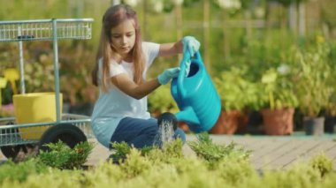 Yaprakların üzerine su serpiştiren genç bir kız çocuğu seranın içine püskürtücü sera egzotik işgali yapan aile büyüyen yeşil çiçeğe yavaş çekimde yardım ediyor.