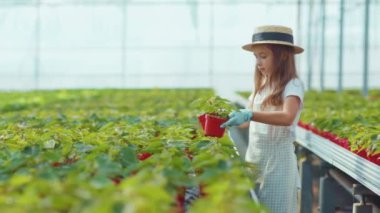 Şapkalı küçük bir kız seranın içindeki yapraklara çiçek ekiyor. Egzotik bir meşgalenin içindeki aile büyüyen yeşil çiçeğe yoğunlaşıyor. Yavaş çekimde yardımcı oluyor.