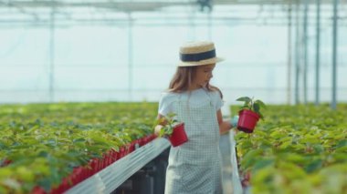 Şapkalı komik genç kız, seranın içindeki yaprakların üzerine çiçek ekiyor. Egzotik meslekte aile büyüyen yeşil çiçek yetiştirerek yavaş çekimde yardımcı oluyor.