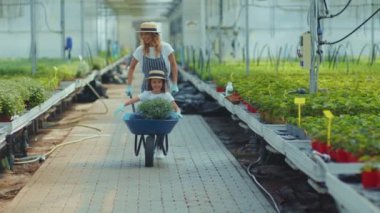 El arabası çiçekli komik bir kızı olan mutlu anne portresi yaz yeşili ailede serada kamera tebessümüne bakın kadın çocuk doğası açık hava çocukluğu ağır çekim