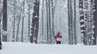 Çekici, sakallı bir genç adam kış ormanlarında yürüyor telefonda konuşuyor tatilde gezgin kişi kar turizmi dağ iletişim ormanı internet açık hava aktivitesi soğuk ağır çekim