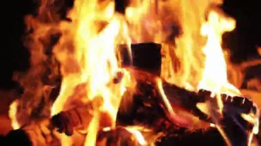 Karanlık gece kamp ateşi odununda ateşböceği yakın. Yanmış kömür alevi görüntüsü. Açık hava piknik arka planı.