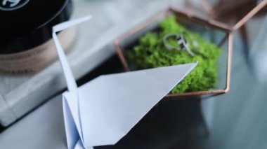 İki alyansın yavaş çekim kompozisyonu. Nişan teklifi. Aşk çifti mücevher evliliği teklifi.