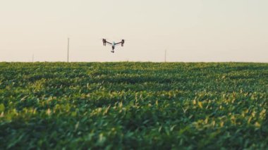 Yavaş çekim akıllı tarım dronu gökyüzünde uçuyor kırsal havadan helikopterle tarım çiftliği çiftliği arazisi çayırlık arazi doğası profesyonel araç hasat yeniliği yakın plan