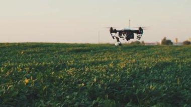 Gökyüzünde akıllı tarımsal dron kırsal hava helikopteri tarım çiftliği çiftliği tarım arazisi çayır doğa profesyonel araç uçak hasat inovasyonu yavaş çekim