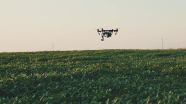 Gökyüzünde uçan akıllı tarım dronu kırsal havadan helikopterle tarım helikopterleri tarım çiftliği arazisi çayırlık arazi fabrikası profesyonel araç hasat inovasyonu yavaş çekim