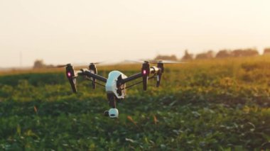 Gökyüzünde uçan akıllı tarım aracı. Kırsal havadan helikopterle tarımsal tarım çiftliği çiftliği arazisi. Çayırlık arazi.