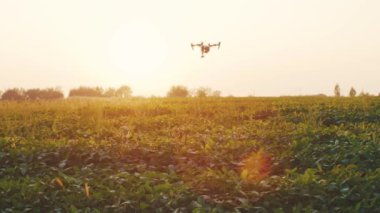 Günışığı görüşlü akıllı tarım dronu gökyüzünde uçuyor kırsal havadan helikopterle tarım çiftliği çiftliği tarım alanı arazisi çayır bitkisi profesyonel araç hasat inovasyonu yavaş çekim yeniliği