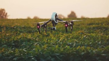 Gökyüzünde uçan akıllı tarım aracı. Kırsal havadan helikopterle tarımsal tarım çiftliği çiftliği arazisi. Çayırlık arazi.