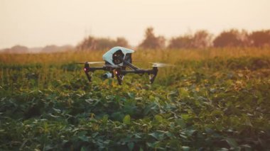 Gökyüzünde uçan akıllı tarım aracı. Kırsal havadan helikopterle tarımsal tarım çiftliği çiftliği arazisi. Çayırlık arazi.