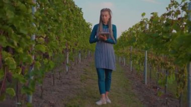 Çekici genç çiftçi kadın üzüm bağında tablet bilgisayar kullanıyor. Güneşli bir sonbahar günü tarım endüstrisi. Tarım güzelliğini kontrol eden asma.