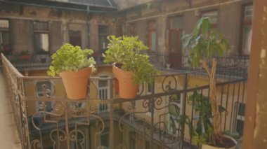 Budapeşte, Macaristan - 19 Mayıs 2019: Eski turizm turizm turizm turizm turizm turizm turistik turistik dairelerinin verandasına bakan çiçekli bir atmosferik balkona yakın çekim