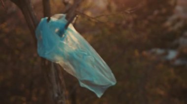 Orman kirliliği ekosistem sorunlarında yeşile asılı duran plastik torbayı kapat. Su torbası, çöp torbası, çevre çöpü, kirli yeşil çöplük, yavaş çekim kirliliği.