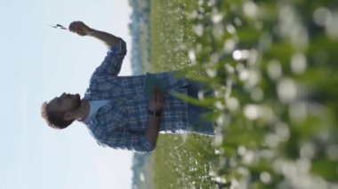 Dijital tablet bilgisayar alanı modern teknoloji uygulaması kullanan çiftçi tarımsal büyüme etkinliği yeniliğinde insan yiyeceği dikey ekran video yavaş çekim