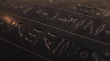 Duvardaki eski hiyeroglifleri kapatın, antik eserler piktografik arka plan şekilli taş sanat hayvanı Mısırlı mezar taşı Nil dini tapınağı medeniyeti geleneksel kültür tarihi firavun
