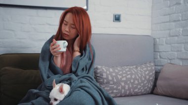 Battaniye altındaki sağlıksız Çinli kız sıcak içecekle ısınıyor ve yavru köpekle kanepede oturuyor. Şirin Chihuahua. Evcil hayvanınla evde kal. Karantina.