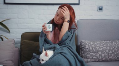 Asyalı kadın battaniyeye sarılmış, sıcak içecek içiyor, karantina sırasında evde kalan sevimli bir Chihuahua köpeğiyle kanepede oturuyor. Coronavirus. Salgın.
