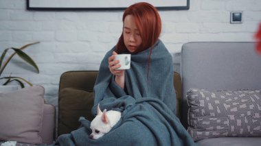 Asyalı kadın battaniyeye sarılmış, sıcak içecek içiyor, karantina sırasında evde kalan sevimli bir Chihuahua köpeğiyle kanepede oturuyor. Coronavirus. Salgın.