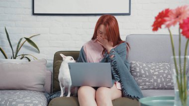 NEW YORK - 5 Mart 2020: evden çalışan çekici Çinli genç iş kadını. Hoş bir kız ailesi ve Chihuahua köpeği oturma odasında dizüstü bilgisayarın başında oturuyor. Kırılgan evcil hayvan. Serbest çalışıyorum. Karantina.