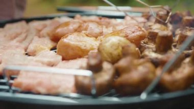 Kömür ızgarasında sulu tavuk, somon balığı ve orman mantarı. Piknik için mangalda et pişiriyorlar. İştah açıcı video. Lezzetli yemek..