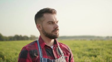 Portre yakışıklı çiftçi elinde organik sebzelerle dolu bir kutu tutuyor. Gün ışığı tarlalarındaki tarlalarda yetişen tarlalara bak. Organik, açık hava, yavaş çekim.