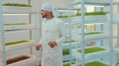 Üniformalı işçi mikroçim filizleri tutuyor. Taze besin, doğal filizli vejetaryen. Organik ham tarım ürünü. Çiftçi bitki yavaş çekim