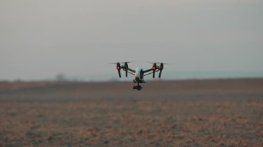 Buğday tarlaları üzerinde uçan siyah dron taraması hasat taraması için. Organik tarım. Teknoloji. Akıllı tarım kavramı.