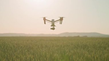 Güzel yeşil tarlanın üzerinde bir kuadkopter fırlatıldı. Hasat zamanı uçan dijital kamerayla insansız hava aracı çekimi. Köy. Yenilikler. Kırsalda yaz mevsimi. İzliyorum. Açık hava.