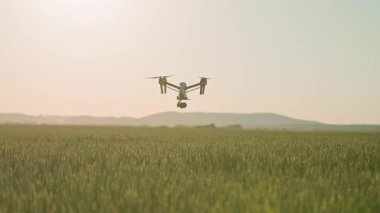 Yeşil alanın üzerinde uçan dijital kameralı İHA 'nın yatay görüntüsü. Gün batımında fırlatılan kuadkopterin görüntüsü. Kırsal alan. Dışarıda.