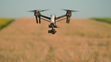Bulanık arkaplanda hasat zamanı kameralı insansız hava aracı görüntüsü. Mavi gökyüzü. Açık havada. Kuadkopter atışı. Şehir dışında. Çiftlik arazisi, köy. Arazi tarama teknolojisi. Yakın plan.