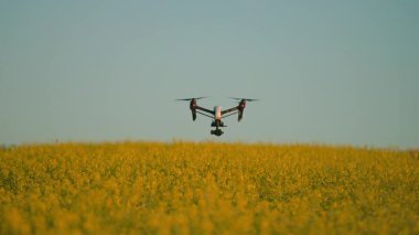 Güzel sarı tarlanın manzarası. Video kamerayla insansız hava aracı çekimi. Şehir dışında. Quadcopter 'ın yatay görüntüsü. Çiftçilik kavramı. Şehir dışında, yaz zamanı.