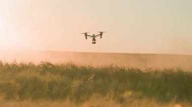 Günbatımında yeşil mısır tarlasının üzerinde dijital kamerayla uçan İHA 'nın yatay görüntüleri. Çiftçilikte modern teknolojiler. Şehir dışında. İyi akşamlar.