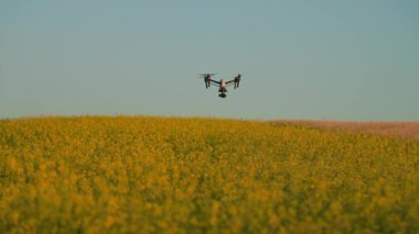 Sarı alanda insansız bir kuadkopter var. Beyaz İHA 'nın şehir dışına uçtuğu görüntüler. Ukrayna 'nın kırsal manzarası inanılmaz. Şehir dışında.