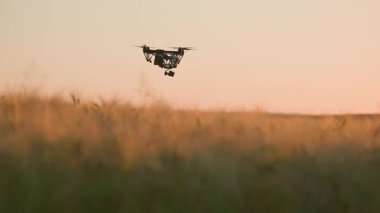 Tarım alanında yüksek teknolojili yenilik. Hava aracı gün batımında tarım arazileri üzerinde uçuyor. Kırsal arka planda bir dörtgen. Çiftçilik teknolojileri. Endüstriyel tarım. Açık hava, kırsal manzara. Yaz