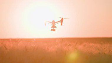 Güzel buğday tarlaları üzerinde uçan insansız hava aracı görüntüsü. Akıllı çiftçilik teknolojileri. Tarım kavramı. Yaz, akşam, köy, şehir dışı. Gün batımı
