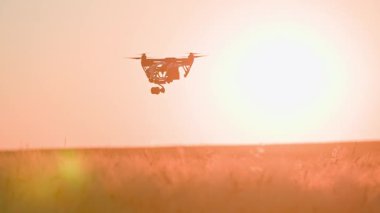 Gün batımında tarımsal insansız hava aracının sahada uçuşu. Köyde bir kuadkopter vuruldu. Akıllı çiftçilik. Şehir dışında bir akşam. Açık hava.