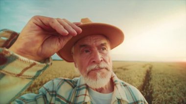 Yetişkin çiftçilerin şapkalara dokunduğu yakın plan. Tarlada çalışan Kafkasyalı yaşlı bir adamın görüntüsü. Tarım yerel işletmeleri. Yaz zamanı. Buğday tarlasında çiftlik sahibi. Güneşli bir gün, açık havada