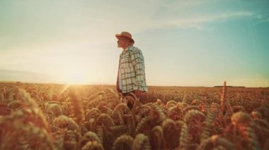 Şapkalı ve ekose gömlekli kendinden emin bir adamın sahada durarak vurulması. Yerel iş konsepti. Yaşlı adamın görüntüleri, hasat, iş adamı, tarım uzmanı, ülke